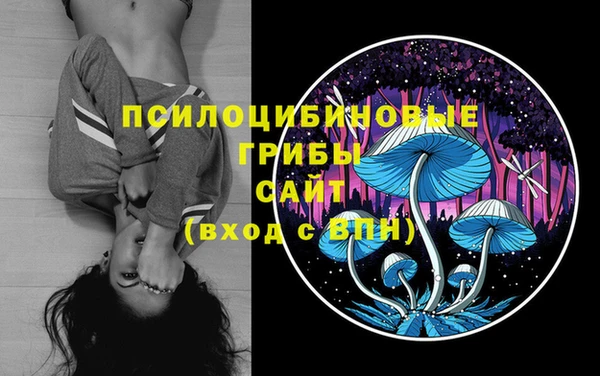 прущие грибы Арсеньев
