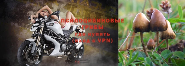 mix Аркадак