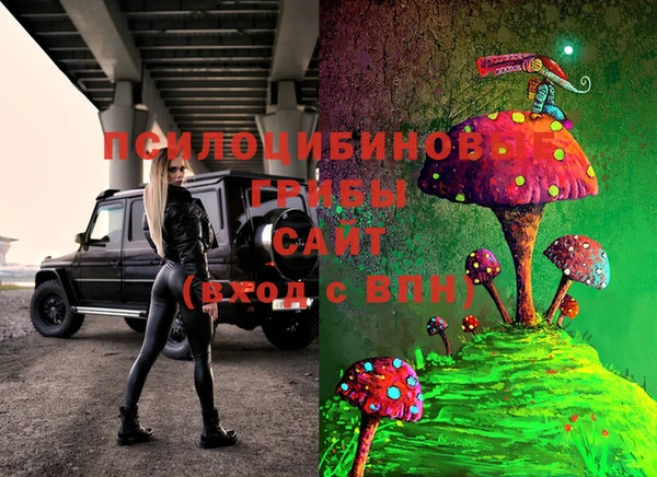 прущие грибы Арсеньев